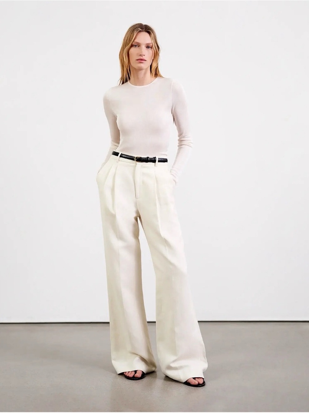 Nili Lotan Flavie Pleated Cotton Wide Leg Trousers